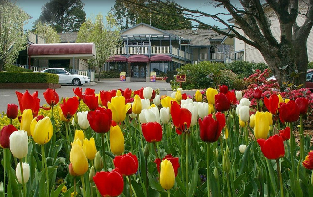 Nesuto Leura Gardens Hotel Kültér fotó