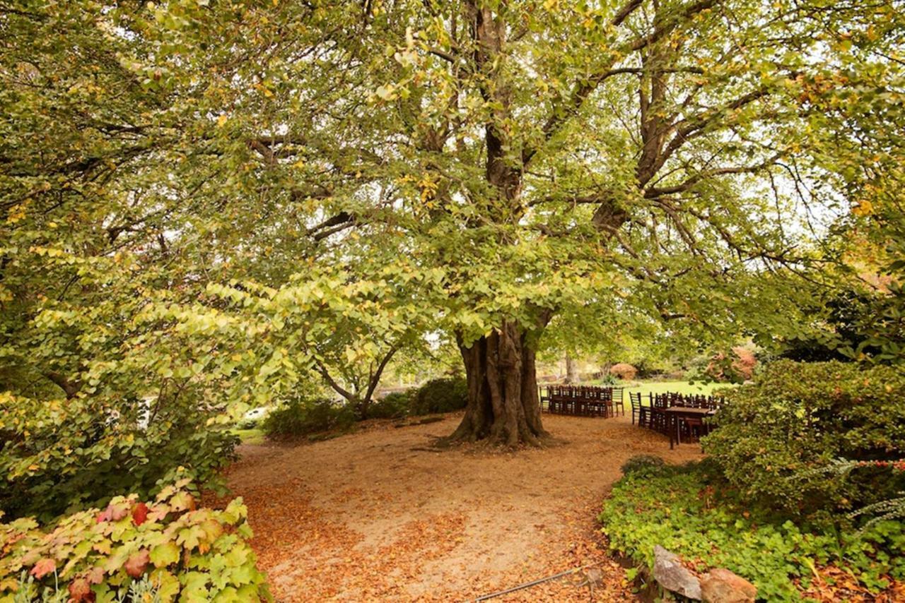 Nesuto Leura Gardens Hotel Kültér fotó