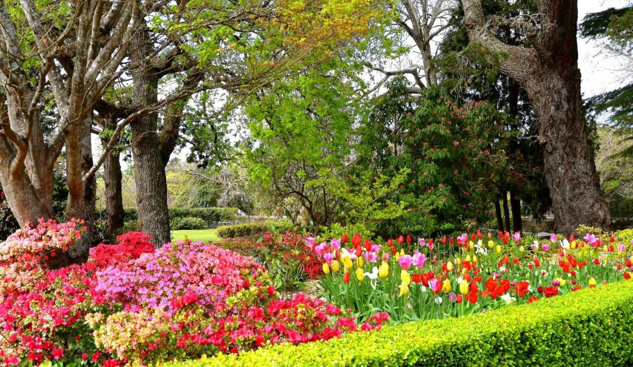 Nesuto Leura Gardens Hotel Kültér fotó